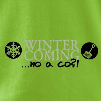 Winter Is Coming parodie