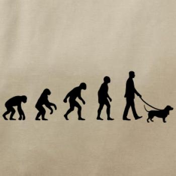 Evolúcia pes baset (muž-žena)