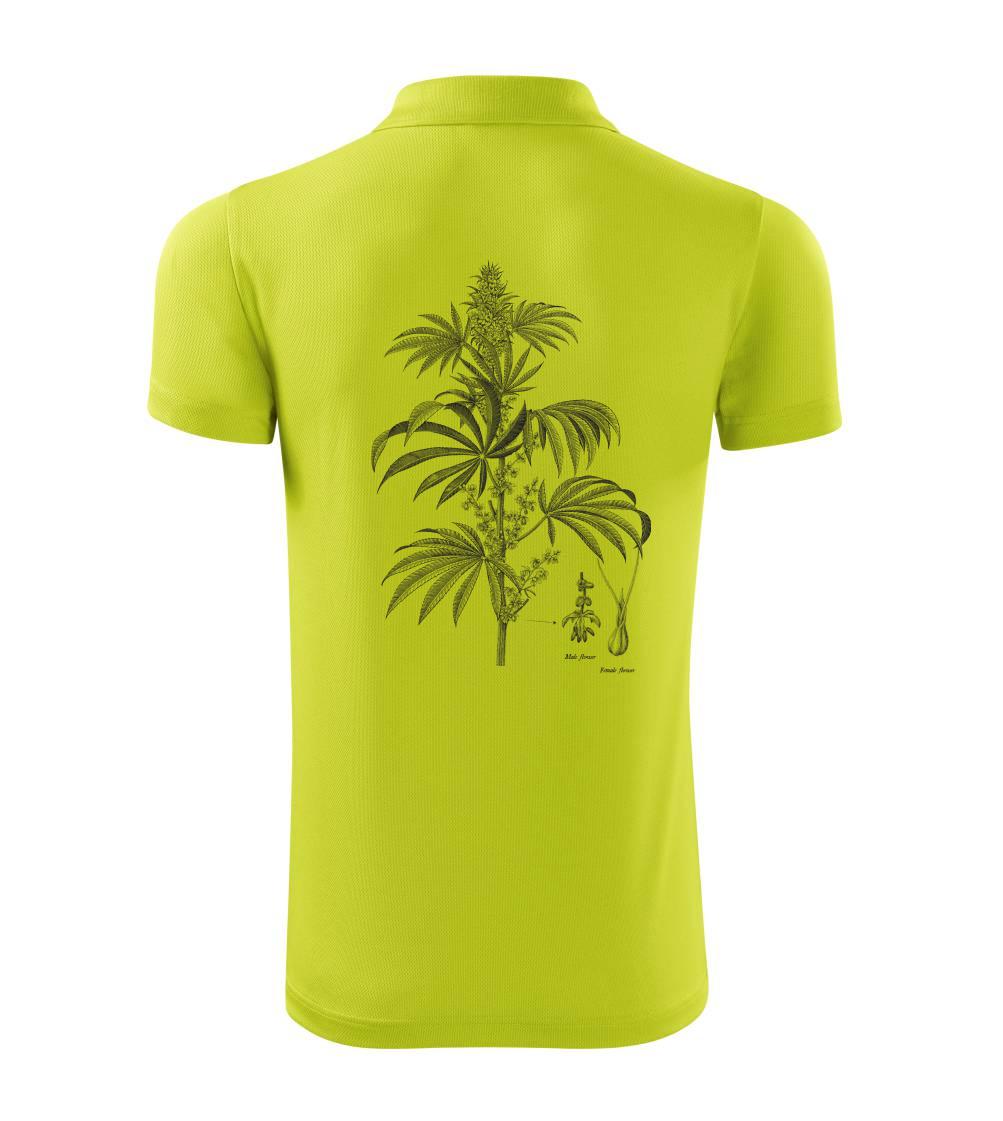 Konope kvietok čiernobiely   Konope kvietok čiernobiely