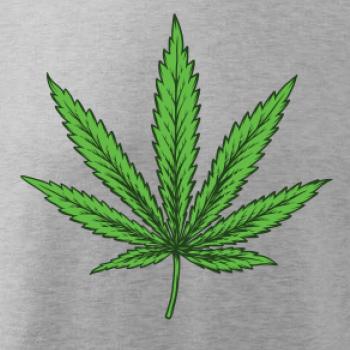 Zelený list Zelený list