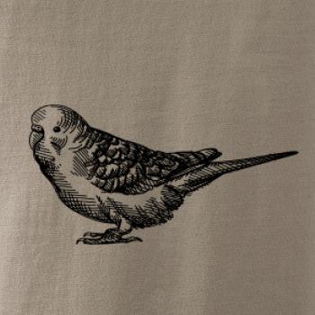 Ceruzkou kreslený Papagáj