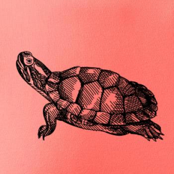 Ceruzkou kreslená korytnačka Ceruzkou kreslená korytnačka