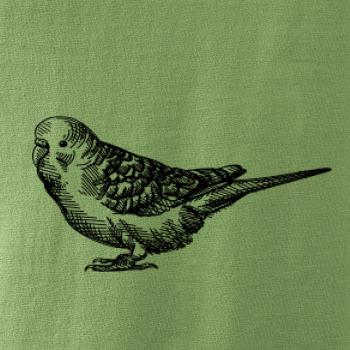 Ceruzkou kreslený Papagáj