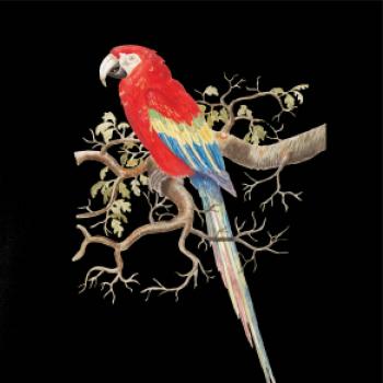 Papagáj  na listnatom strome Papagáj  na listnatom strome