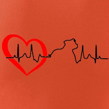 Stafordšírsky bulteriér ‎ EKG