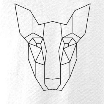 Americký Pit Bull Teriér - Geometria