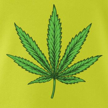 Zelený list Zelený list