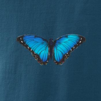 Motýľ Babôčka Morpho Peleides