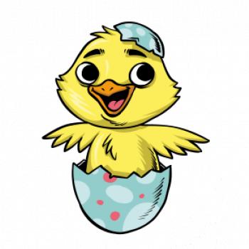 Kuriatko vo vajíčku