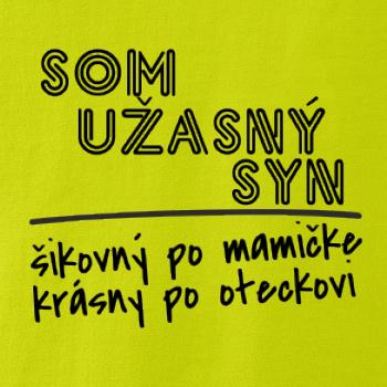 Som úžasný syn