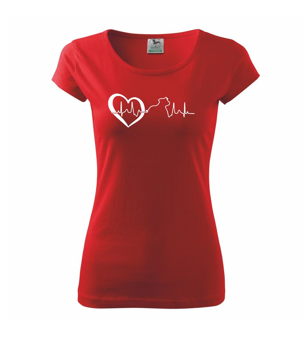 Stafordšírsky bulteriér  EKG Stafordšírsky bulteriér  EKG