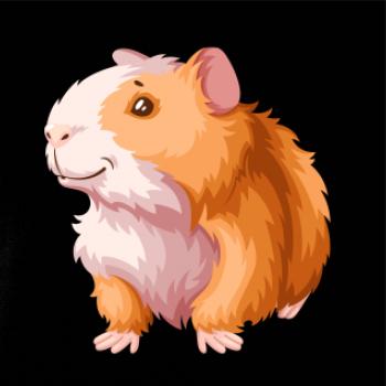 Morča - kreslené, bielo oranžové Morča - kreslené, bielo oranžové