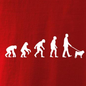 Evolúcia pes Mops (muž-žena) Evolúcia pes Mops (muž-žena)