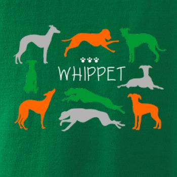 Whippet barevný