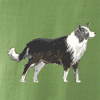 Border kólia kreslená