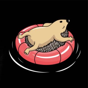 Ježko relax