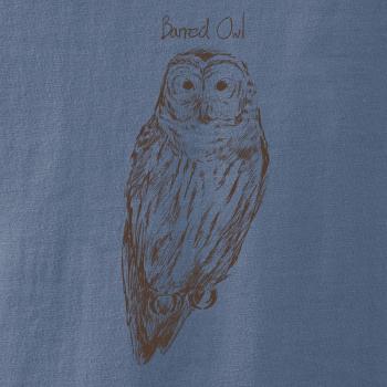 Sova pásikavá  Barred owl