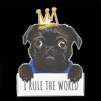 Mops - I rule the world