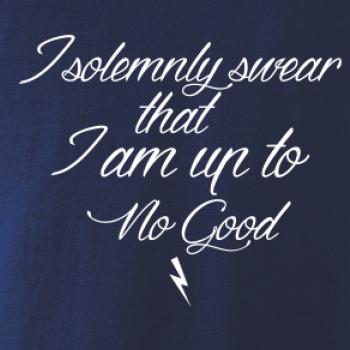 I solemnly swear that I'm up to no good