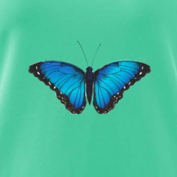 Motýľ Babôčka Morpho Peleides