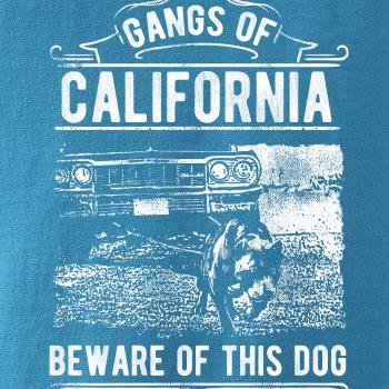 Gangs Of California