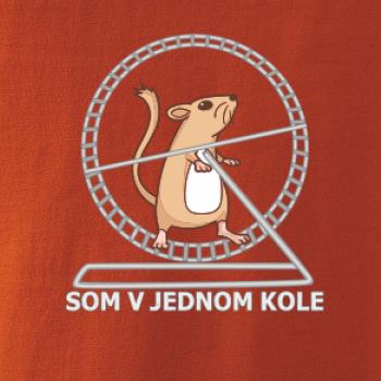 Som v jednom kole