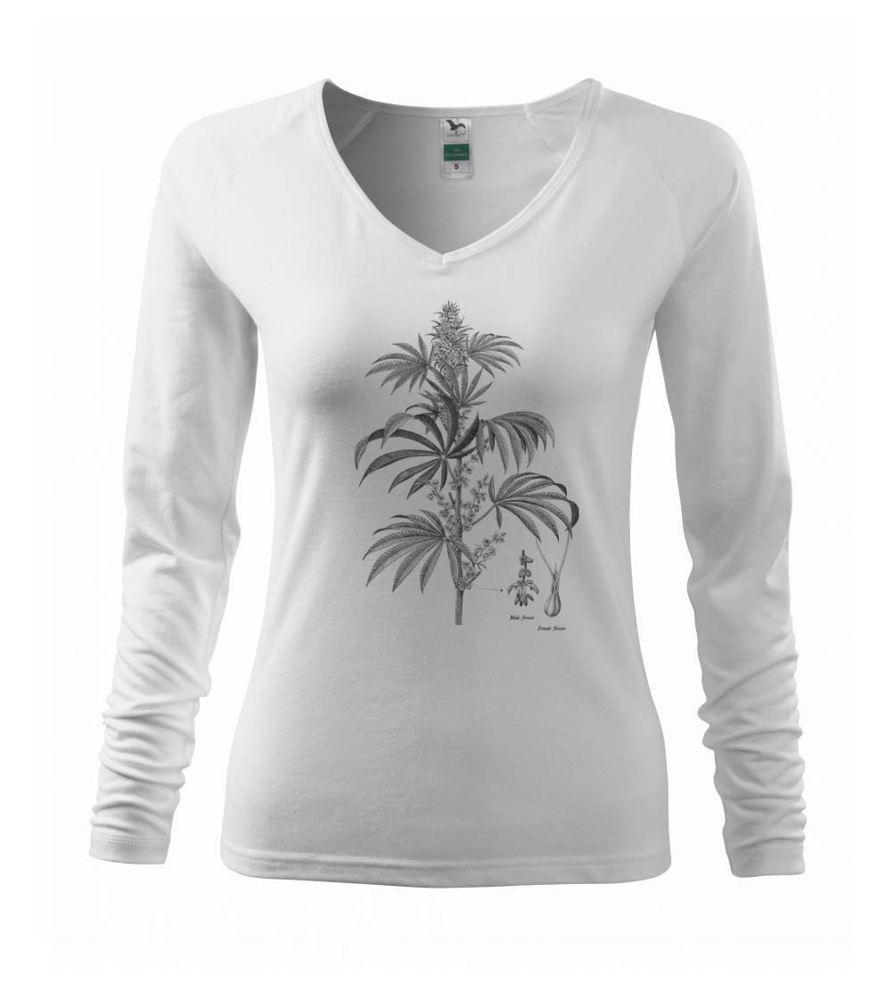 Konope kvietok čiernobiely   Konope kvietok čiernobiely