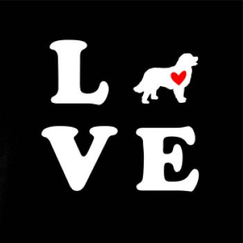 Bernský salašnícky pes love