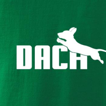 Jazvečík Dach Jazvečík Dach