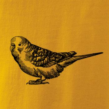 Ceruzkou kreslený Papagáj