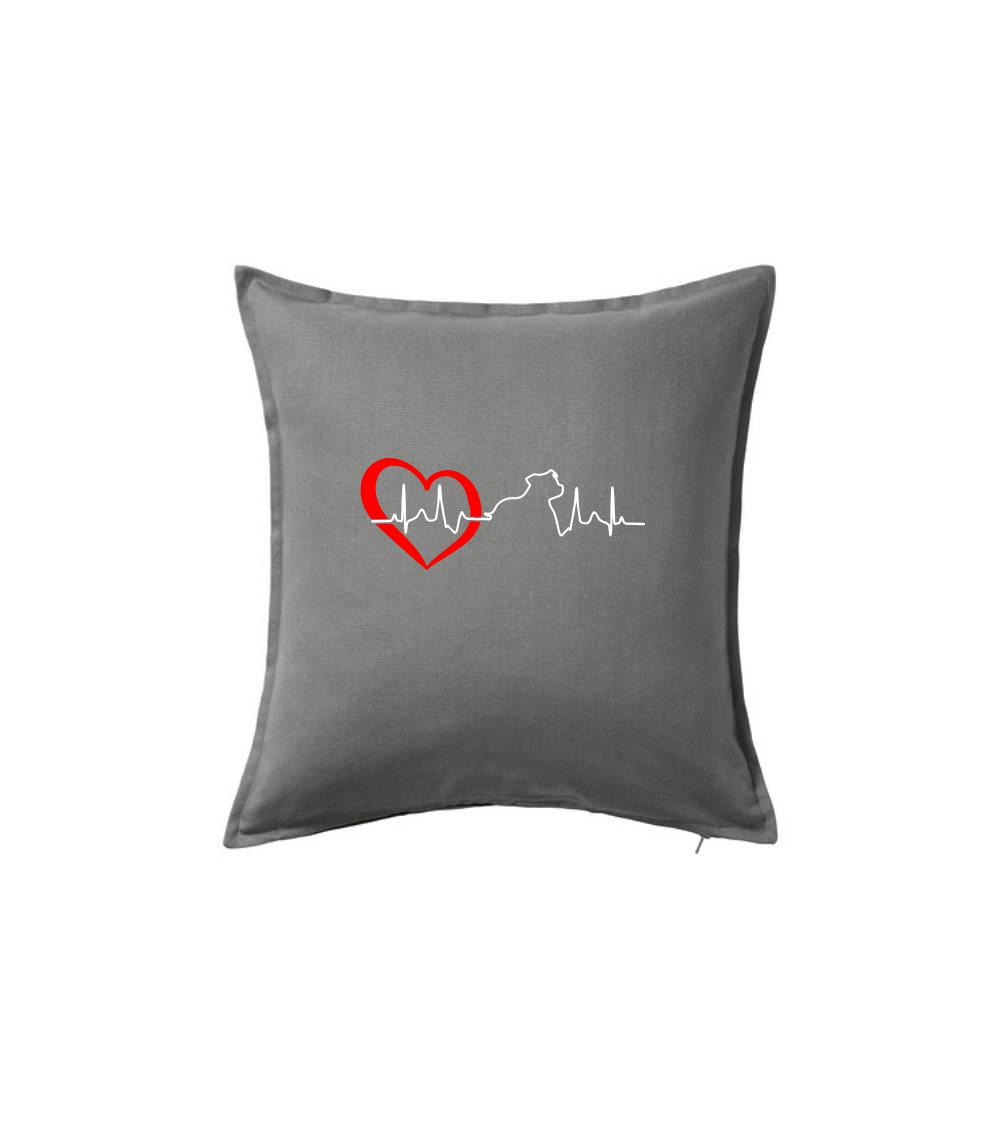 Stafordšírsky bulteriér  EKG Stafordšírsky bulteriér  EKG