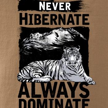 Never Hibernate Never Hibernate