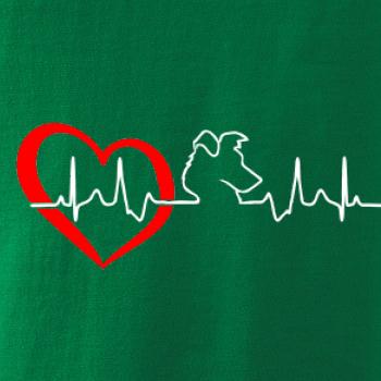 Borderská kólia EKG