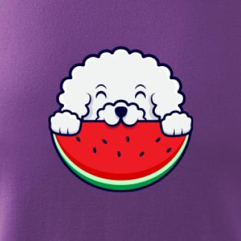 Bišónik s melónom