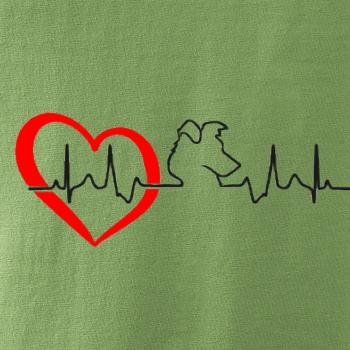 Borderská kólia EKG Borderská kólia EKG