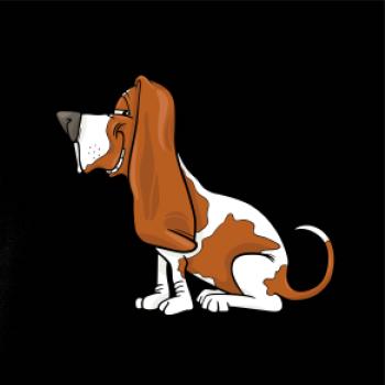 Baset s kulišáckým pohľadom