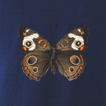 Motýľ motýle Motýľ motýle