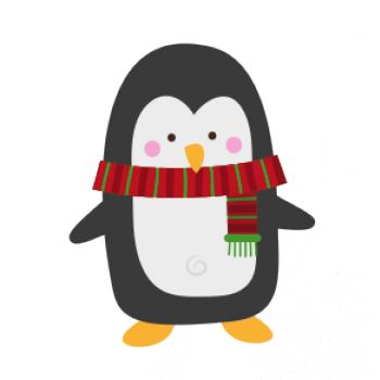 Tučniak so šálom Tučniak so šálom