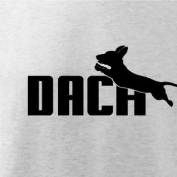 Jazvečík Dach Jazvečík Dach