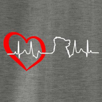 Bernský salašnický pes EKG Bernský salašnický pes EKG