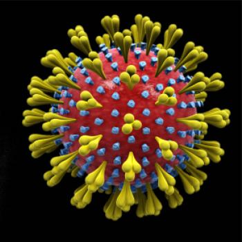 Coronavirus - koronavírus Coronavirus - koronavírus