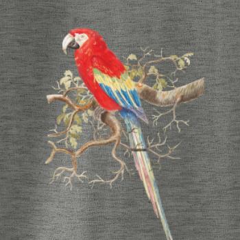 Papagáj  na listnatom strome