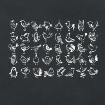 Veľa vtákov Veľa vtákov