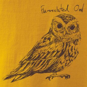 Výrček ohnivý  flammulated owl Výrček ohnivý  flammulated owl