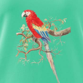 Papagáj  na listnatom strome