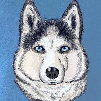 Husky hlava - kreslený