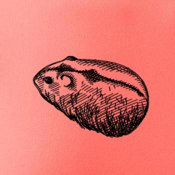 Ceruzkou kreslený Škrečok