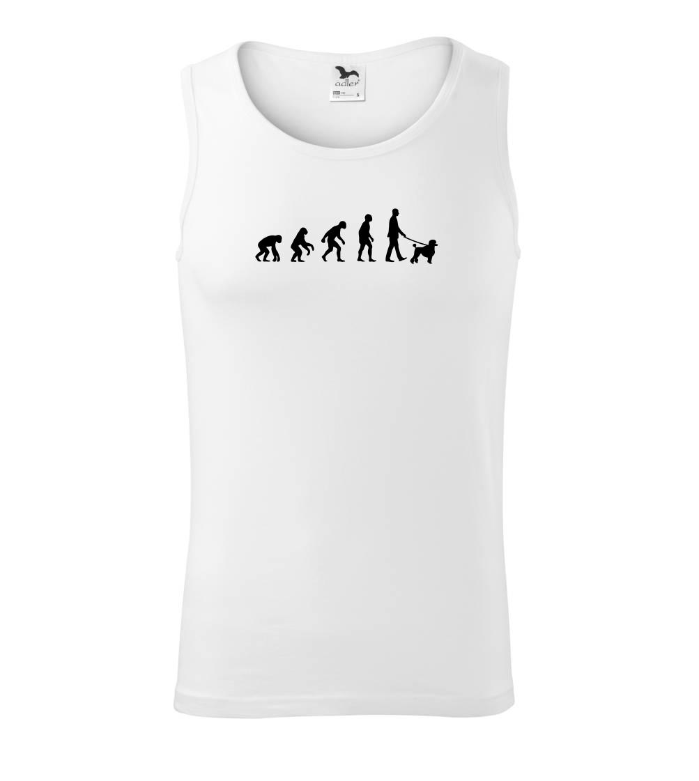 Evolúcia pes pudel (muž-žena) Evolúcia pes pudel (muž-žena)