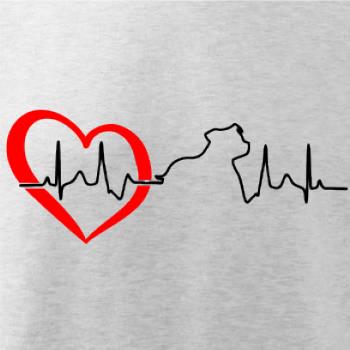 Stafordšírsky bulteriér ‎ EKG