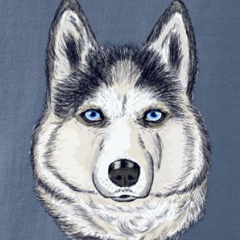 Husky hlava - kreslený